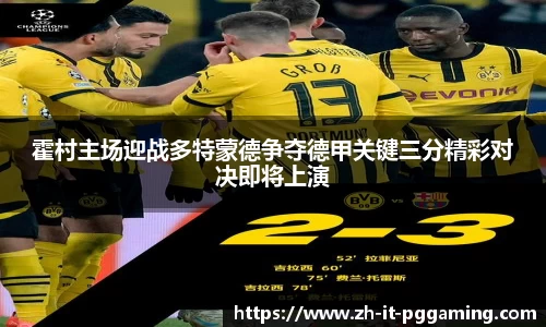 pg模拟器