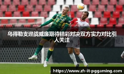 pg模拟器