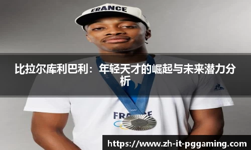 pg模拟器