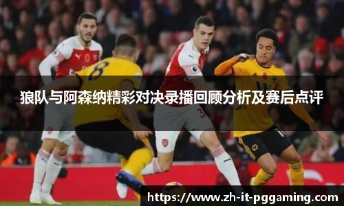 pg模拟器