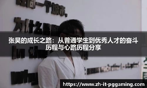 pg模拟器下载