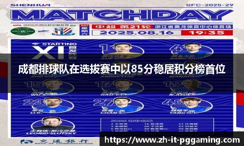 pg模拟器