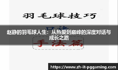pg模拟器下载